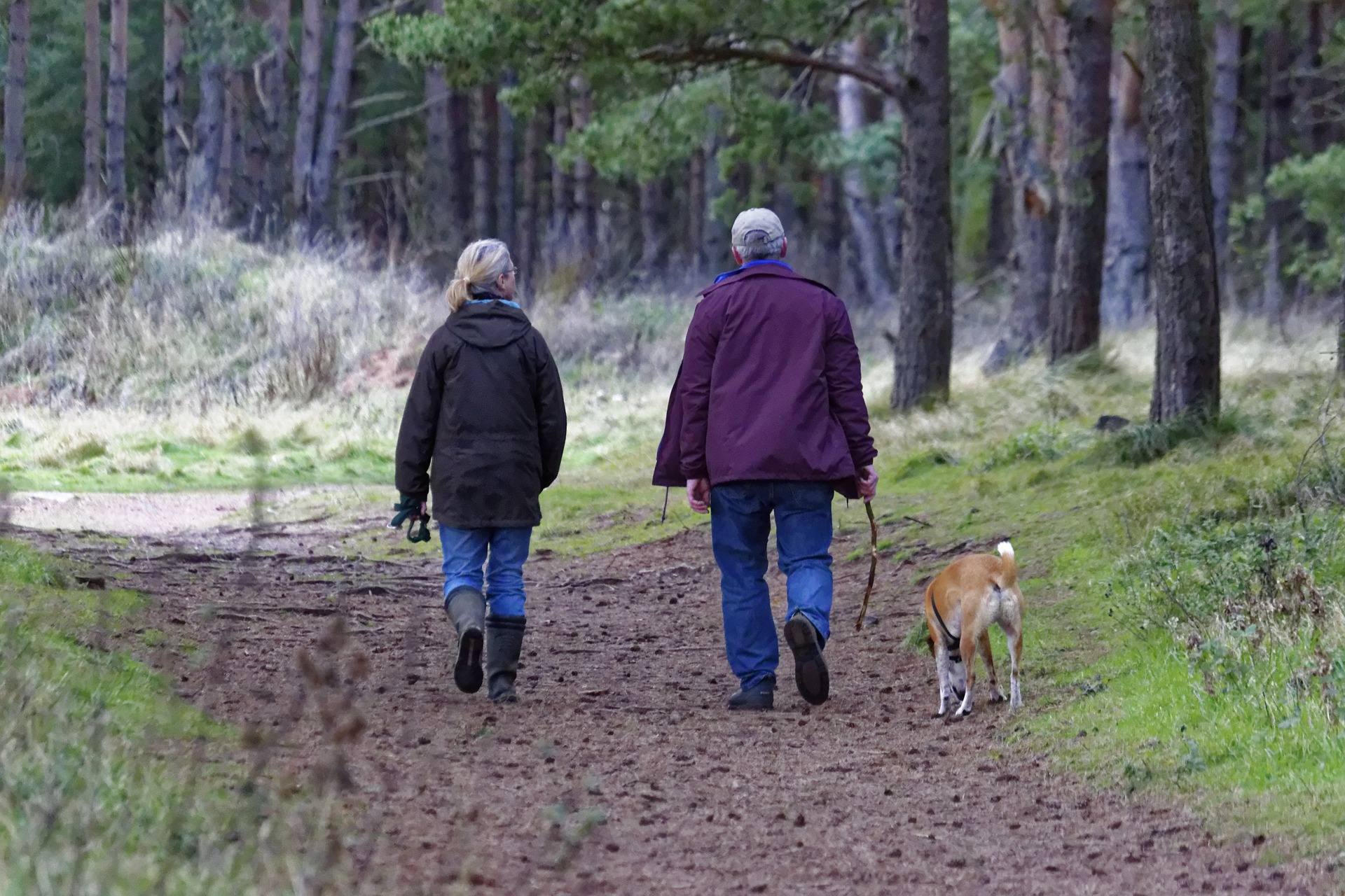 Participation decisive for differences in forest management